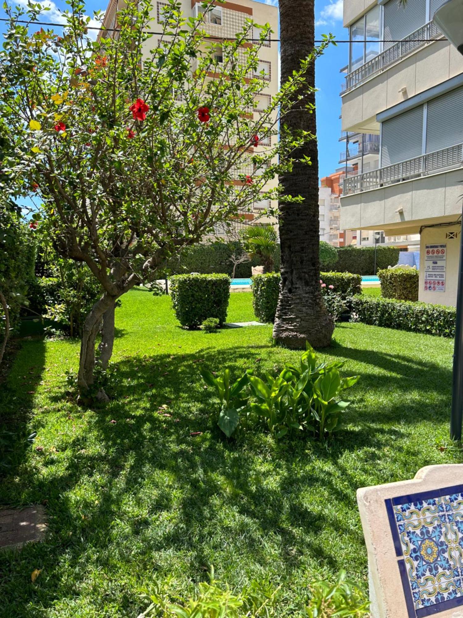 Apartamento Gandia Playa 150M Playa Con Parking Privado Y Piscina Playa de Gandia 外观 照片